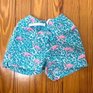 Chubbies Kids Toddler Boy Blue Flamingo Swim Trunks 2at